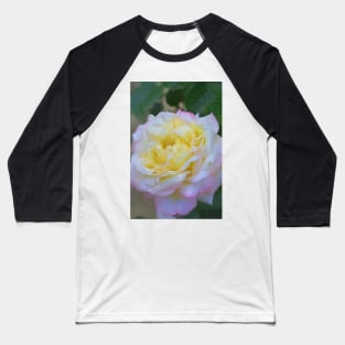 Rose 386 Baseball T-Shirt